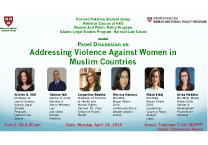 VAW-poster